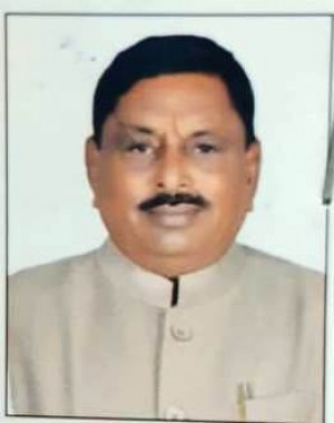 महेशकुमार कनैयालाल रावल (मयूर रावल)