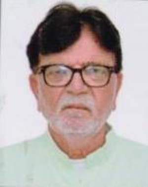 महमदजावीद अब्दुलमूतलीब पीरज़ादा