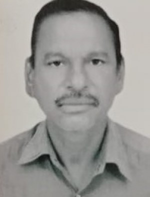 मणिलाल भोगीलाल पंड्या