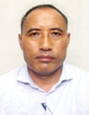 मेदो योखा