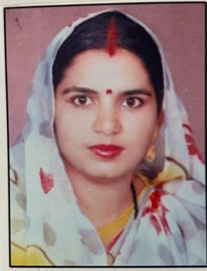 मीना
