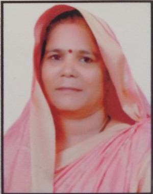 मीना सैनी