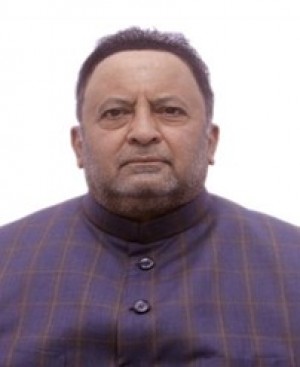 MIR ZULFEQAR ALI