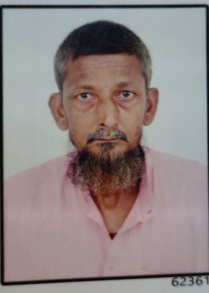 मीरझा आबीद अलीभाई