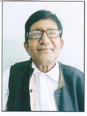 मिर्ज़ा नासिरुद्दिन