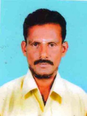 मुरुगेशन