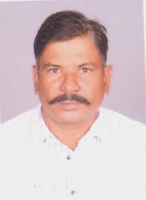 नफीस