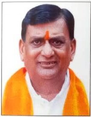नानाभाऊ मोहोड़