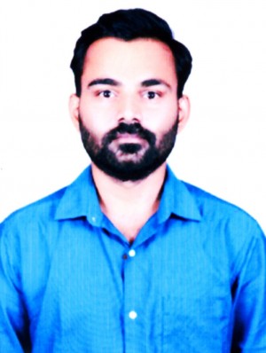 NARASIMHA M RAYKAR