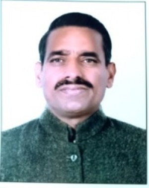 नारायण सिंह भाटी