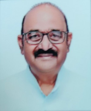 नर्मदा प्रसाद प्रजापति (एन.पी.)