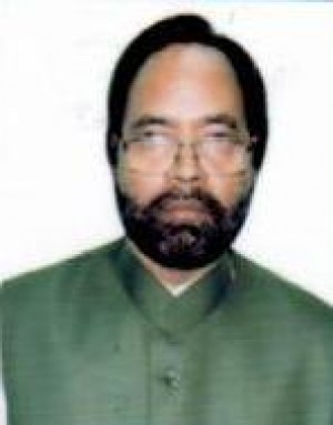 निजामुद्दीन अंसारी