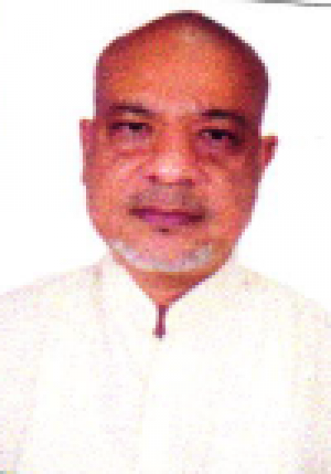 नीलिमय प्रोधानी