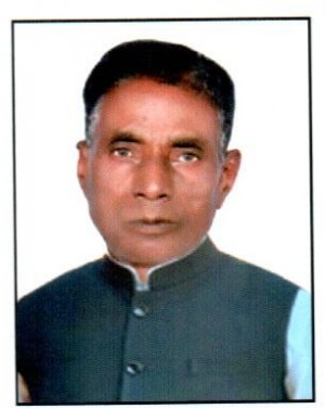 निमालाल भील