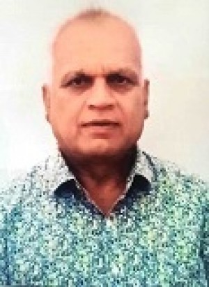 निरंजन आर्य