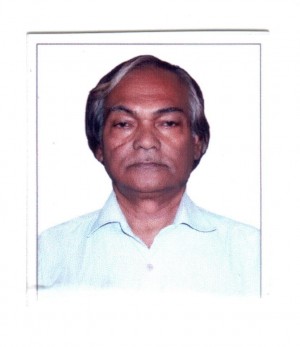 नृपेन्द्र कृष्ण राय