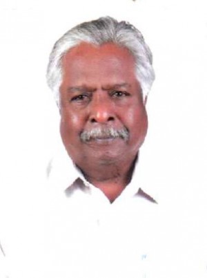 P SANKARAN