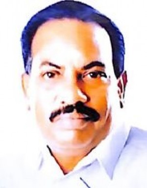 न.चि. पन्नेर सेल्वम