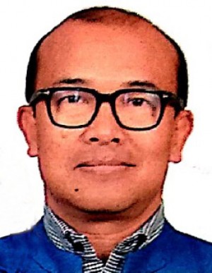 पाओनम ब्रोजेन सिंह