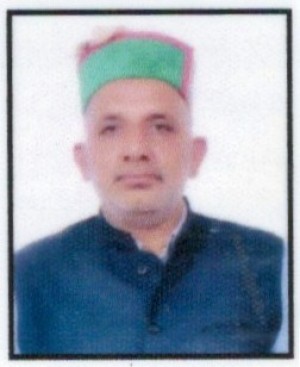 विशाल शांकटा