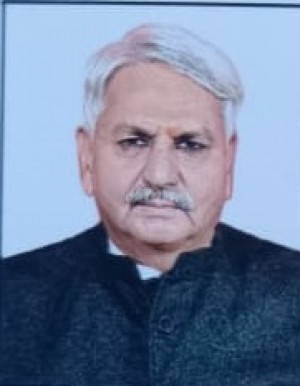 पारसमल जैन (पंच)