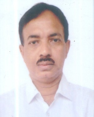 Partha Pratim Majumder