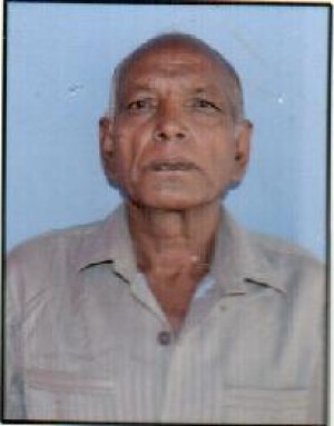 पटेल नवघणभाई मंगाभाई