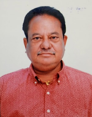 PENMETSA VENKATA LAKSHMI NARASIMHA RAJU (P.V.L)