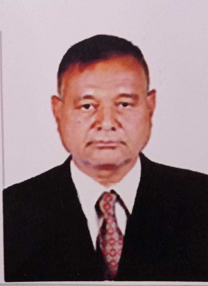 प्यारेलाल भारती