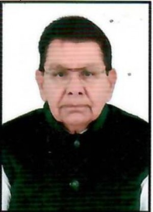 राजेन्द्र सिहं भादू