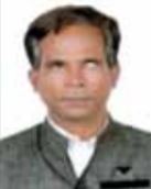 Rajesh B. Dayal