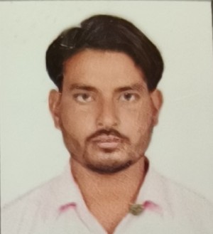 राजेश पालीवाल