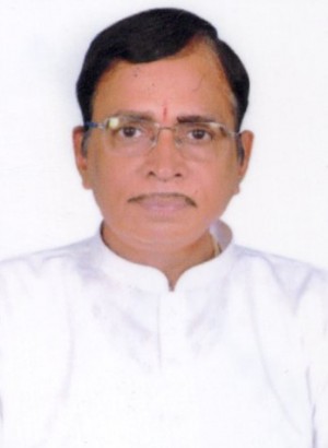 RAMALINGESWARA RAO JONNAVITTULA