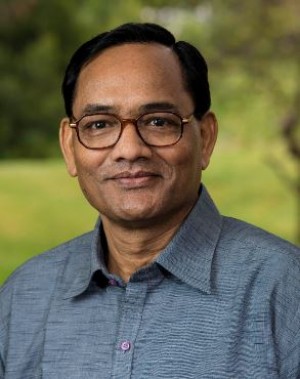 Ramesh Kumar Agrawal