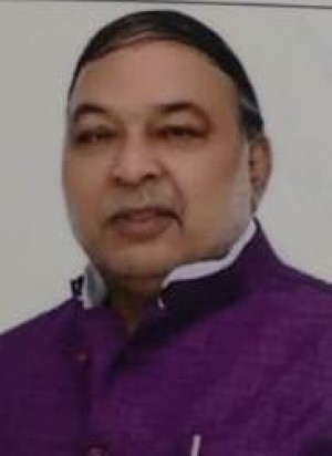 RAVIDAS MEHROTRA