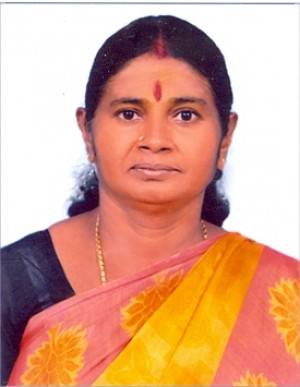 एस.मलारविज़ी