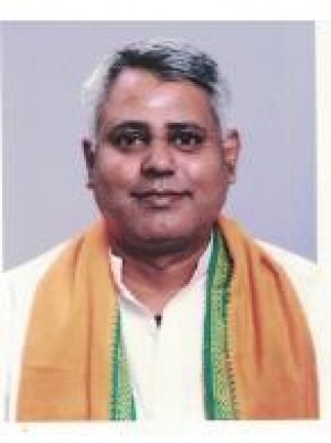 एस. सत्यनारायणन