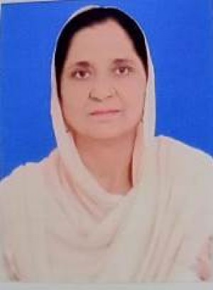 सलमा आगा