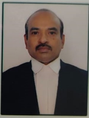 SANJAY YADAV ADVOCATE