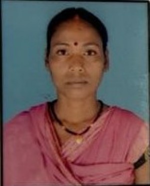 सीमा पनिका