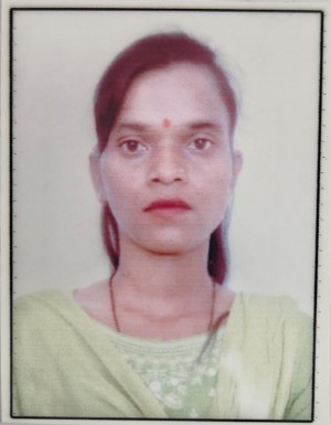 शिमला चेरवा