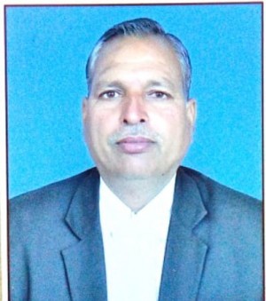 सुल्तान सिंह पालीवाल