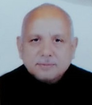 सूर्य प्रताप शाही