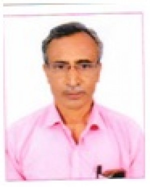 Swapan Kumar Bhowmik