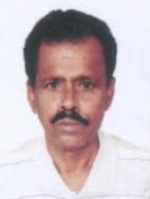 स्वपन मण्डल