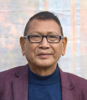 टी. एन हौकिप