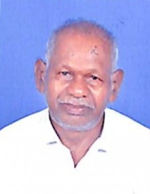 TADANGI SRIHARI RAO NAIDU