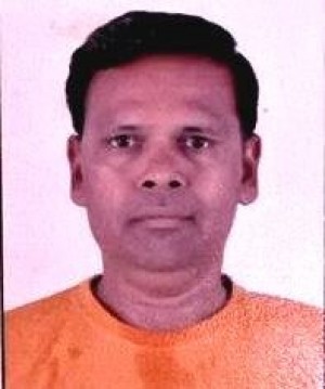 तुलशीभाई पुरणभाई सोलंकी