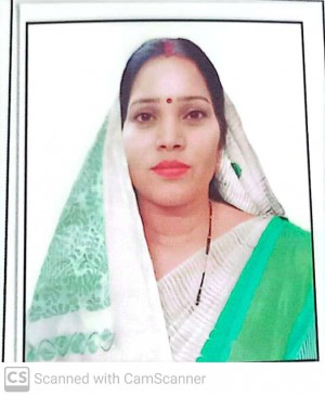 उत्तरी गनपत जांगड़े
