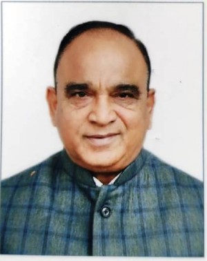 VEER SINGH DHINGAN